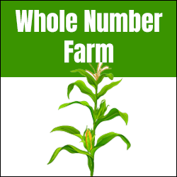 Product of Whole Numbers Math Exercise Farm Theme