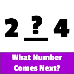 Which Number Comes Next?